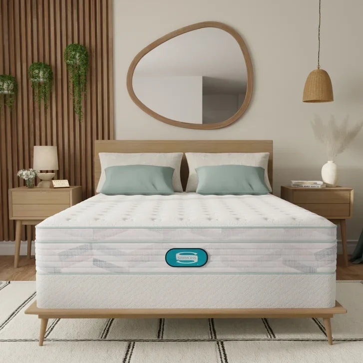 Bowman 27.9 cm (11 in.) Mattress or Set T8670