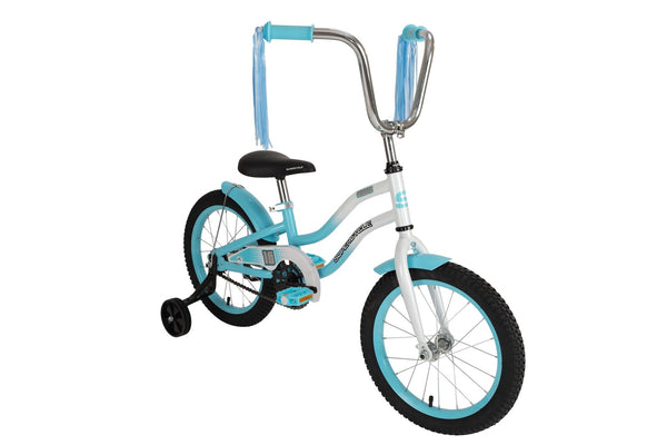 Misfit Kids' Bike with Training Wheels, 16-in, Blue O4876